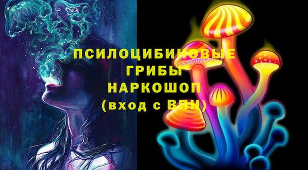 твердый Великий Новгород