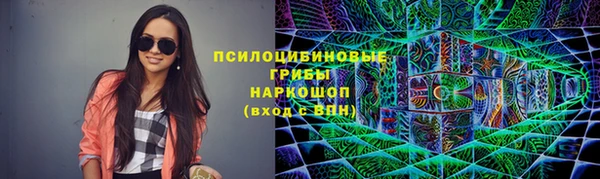 ECSTASY Ладушкин