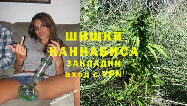 ECSTASY Ладушкин