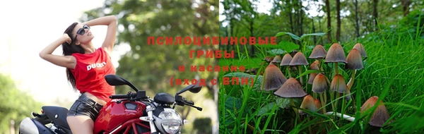 a pvp Братск