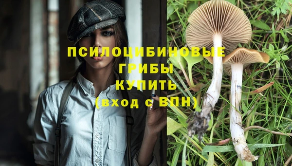 a pvp Братск