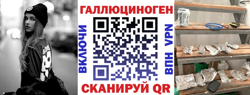 где продают наркотики  гидра ТОР  Галлюциногенные грибы мицелий  Александровск 